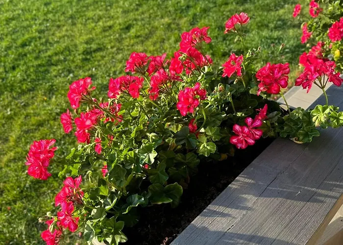 Sosnowe Zacisze Jarosławiec